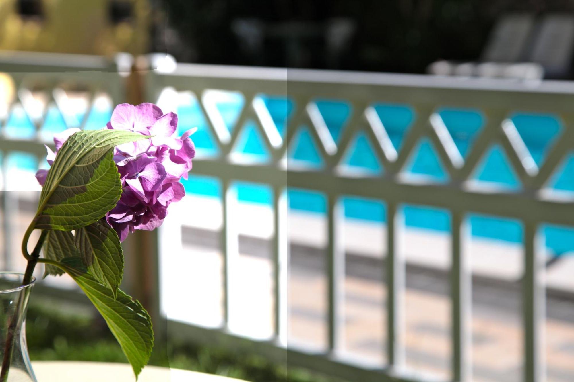 סן פליס דל בנאקו Hotel San Filis מראה חיצוני תמונה